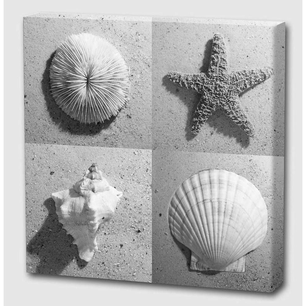 Marine Life, Limited Edition - Exclusive