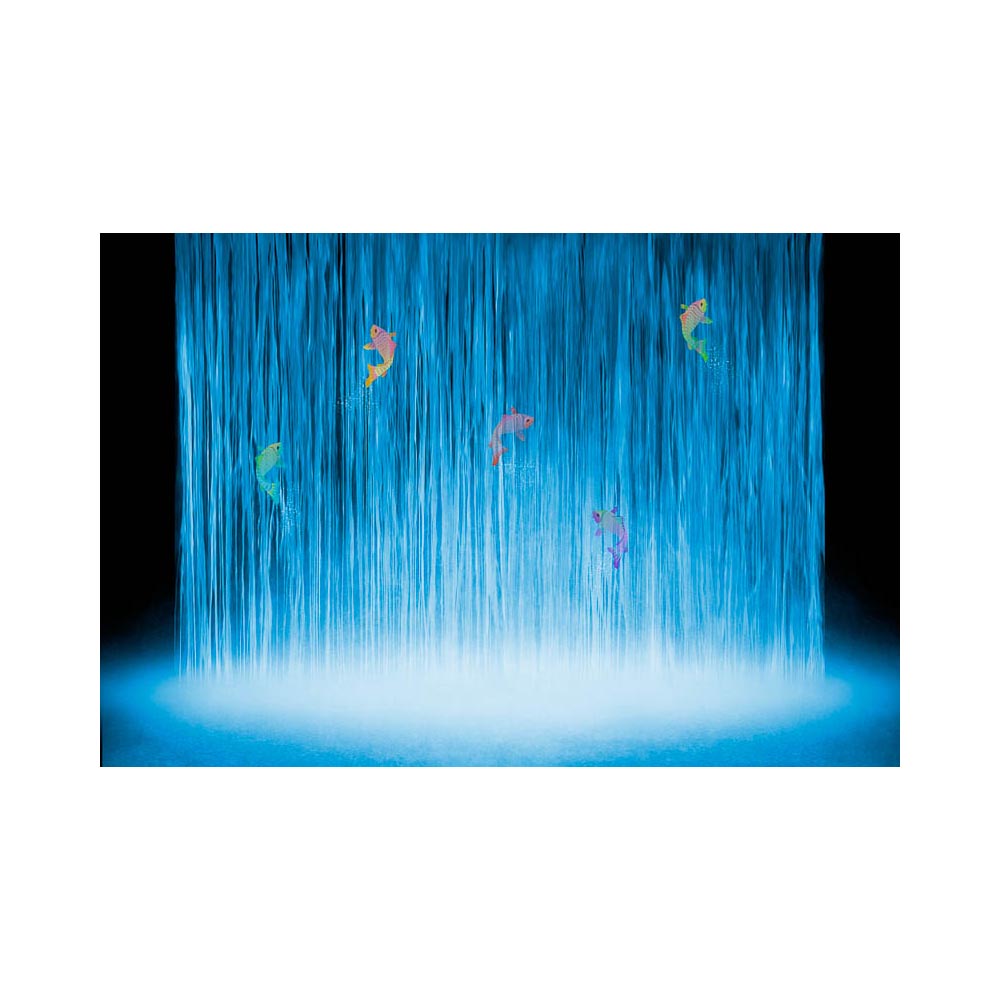 Endless Journey, Limited Edition - Exclusive