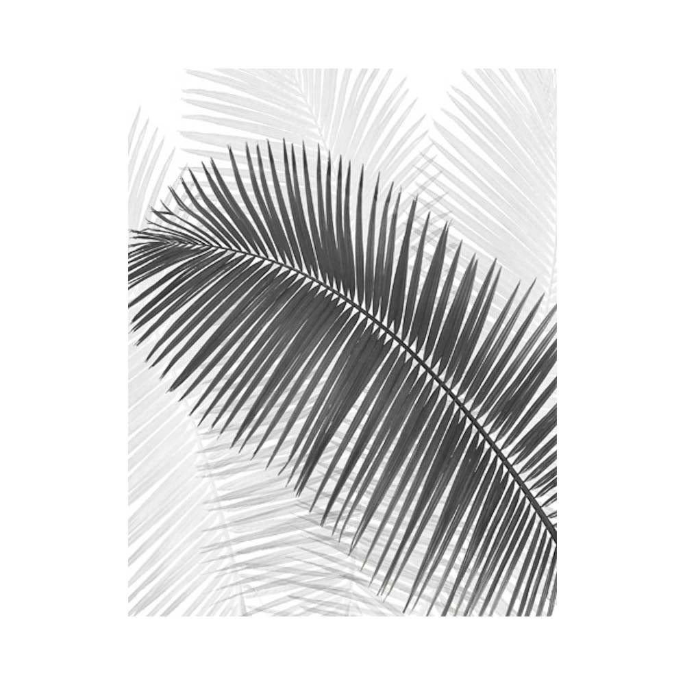Black and White Palm Fronds, Limited Edition - Exclusive