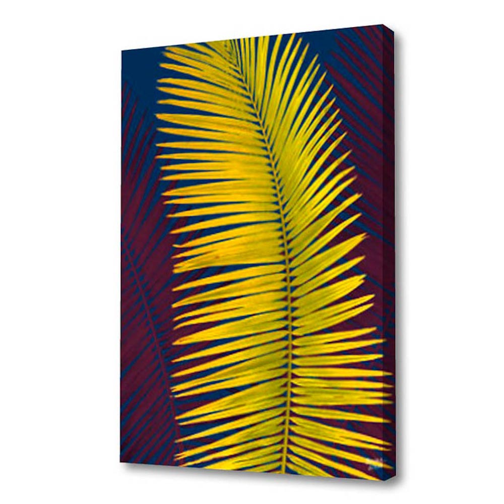 Yellow Palm Fronds, Limited Edition - Exclusive
