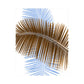 Brown Blue Palm Frond, Limited Edition - Exclusive