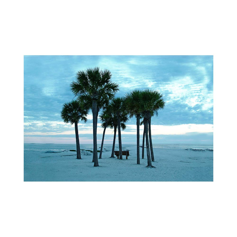 Beach Trees, Limited Edition - Exclusive