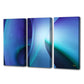 Sophie Blue Triptych, Limited Edition - Exclusive