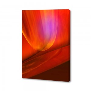 Modern Fire