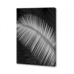 Palm Frond Negative