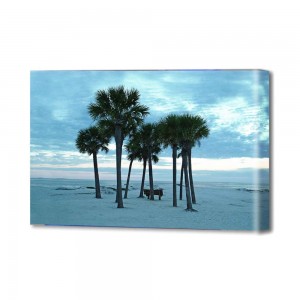 Beach Trees