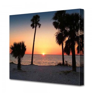 Sunset Trees